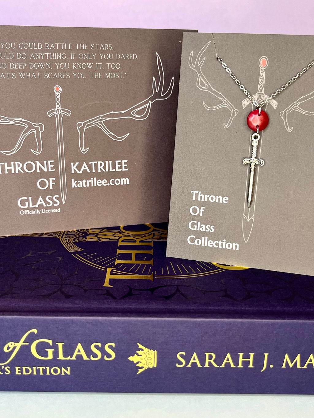 Officially Licenced Goldryn Sword Stainless Steel Necklace, Throne of Glass Merch, Aelin Galathynius, Fantasy Pendant, Silver, Bookish Gift