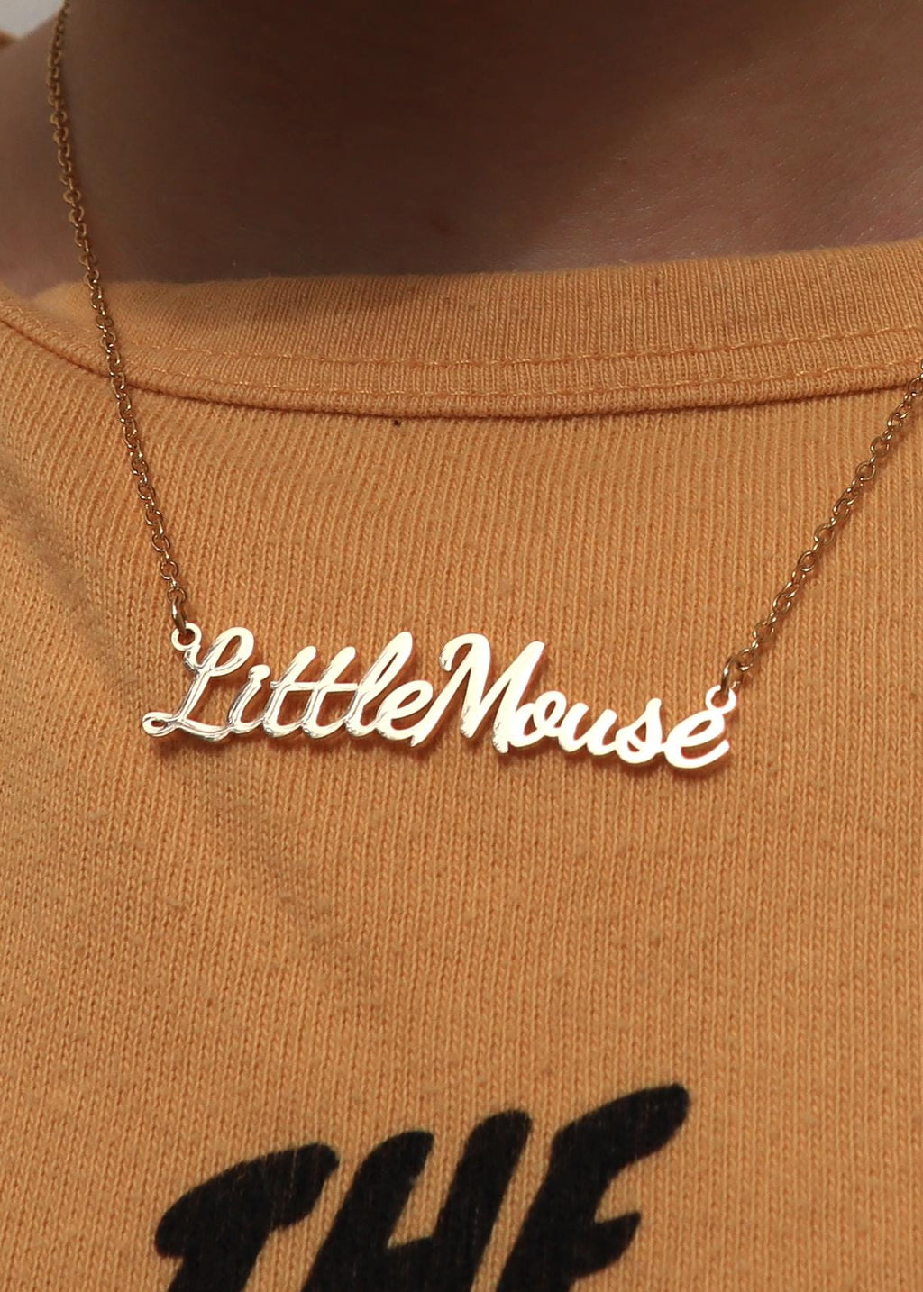Haunting Adeline Little Mouse Stainless Steel Gold and Silver Name Necklace, H D Carlton Dark Romance Bookish Merch, Gift For Reader