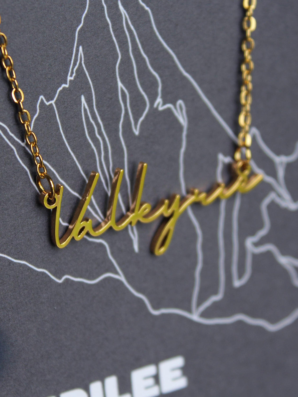 Officially Licenced Valkyrie Stainless Steel Necklace, ACOTAR Merch, Nesta, Bookish Gifts, Silver Gold Necklace Fantasy Romance Reader